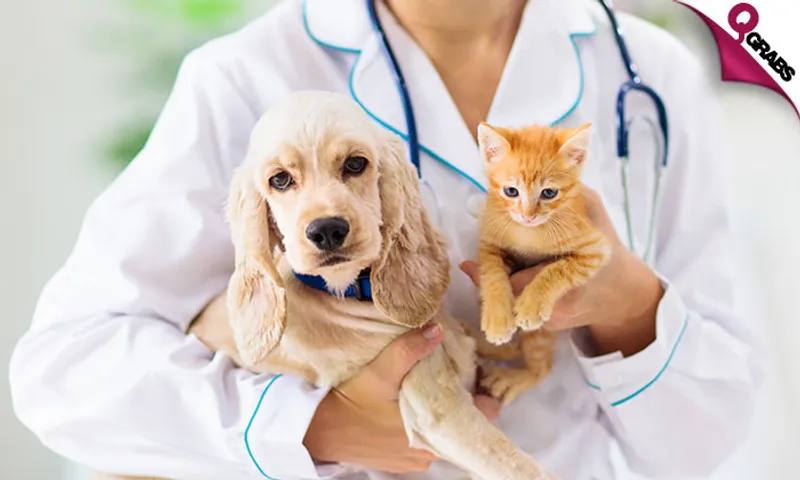 Dog/Cat Vaccination + Consultation!